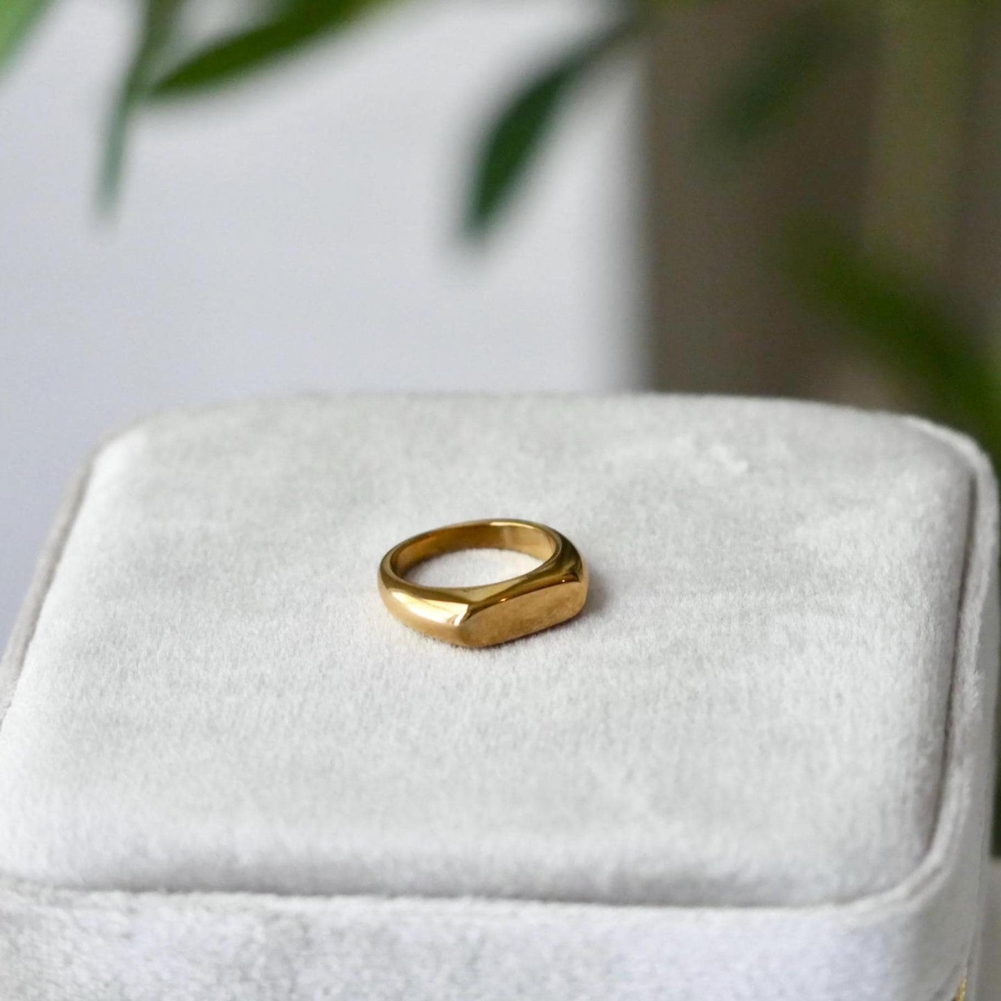 Gold Statement Signet Ring - 18k Gold, Stainless Steel