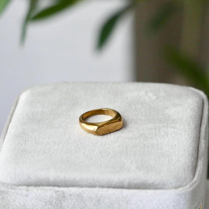 Gold Statement Signet Ring - 18k Gold, Stainless Steel