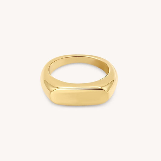 Gold Statement Signet Ring - 18k Gold, Stainless Steel
